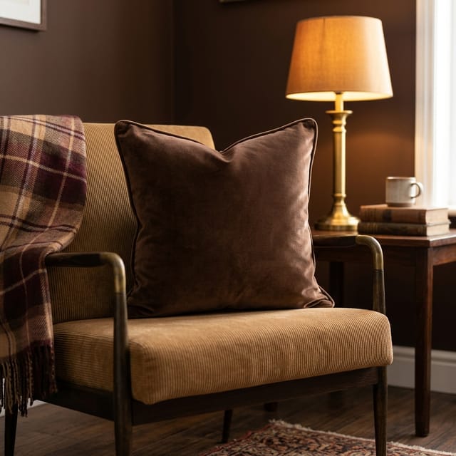 Brown Velvet Cushions